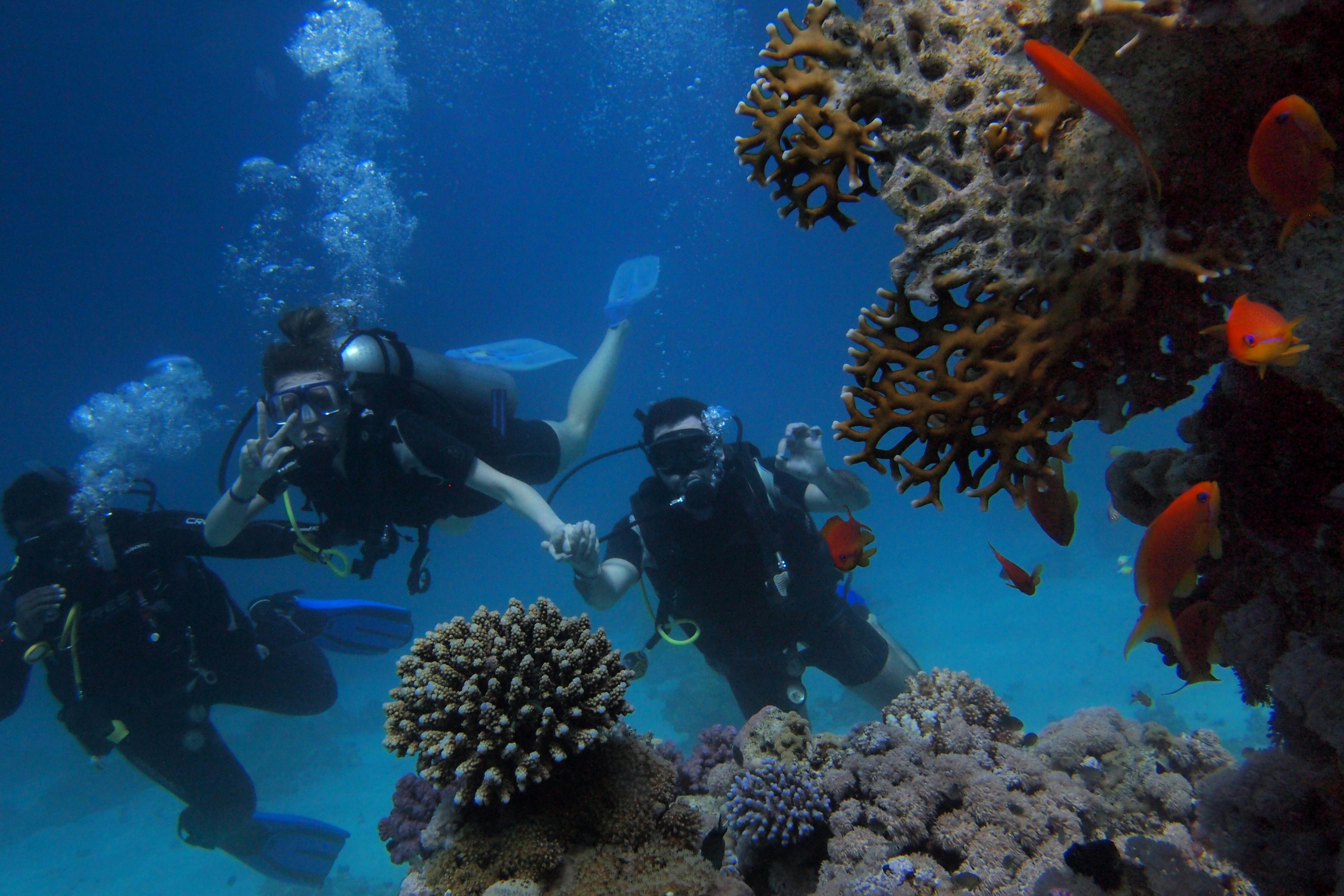 Diving adventure in Sousse Tunisia